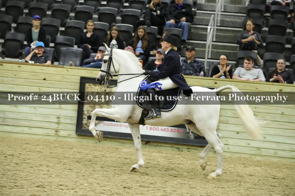 Proof 24BUCK_04410
