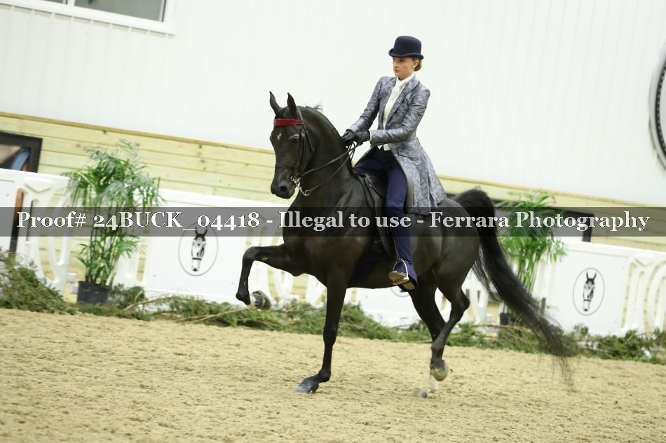 Proof 24BUCK_04418