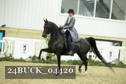24BUCK_04420 proof