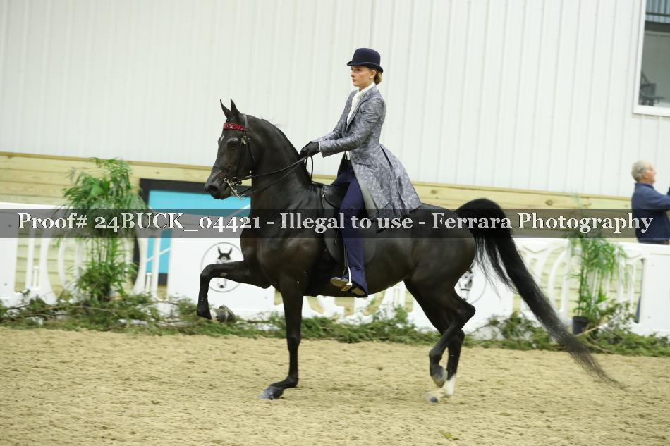 Proof 24BUCK_04421