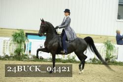 24BUCK_04421 proof