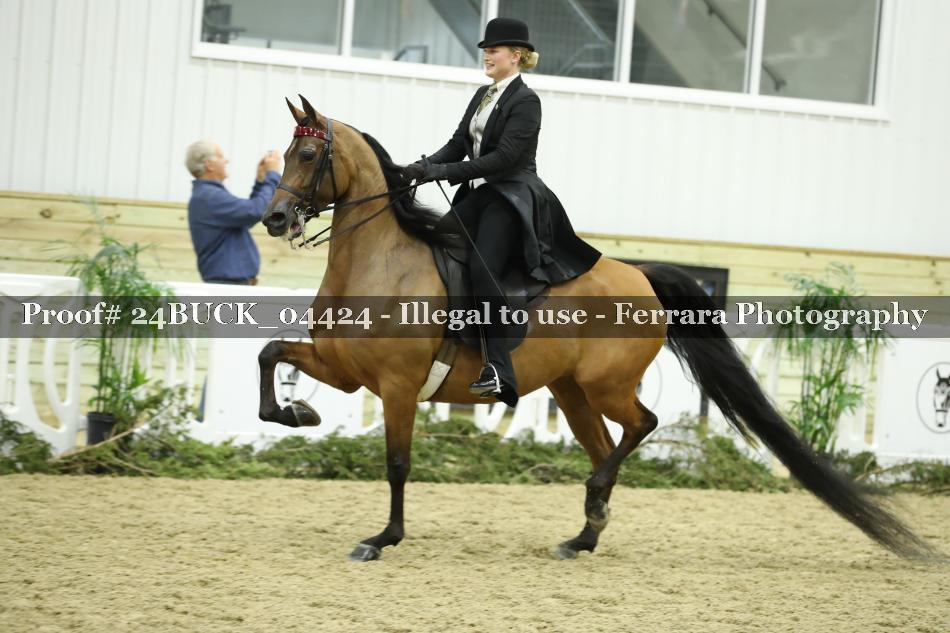Proof 24BUCK_04424