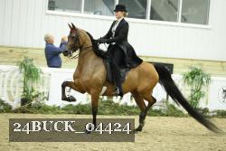24BUCK_04424 proof