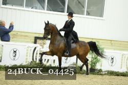 24BUCK_04425 proof