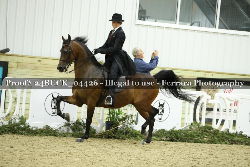 Proof 24BUCK_04426