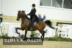 24BUCK_04426 proof