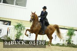 24BUCK_04429 proof