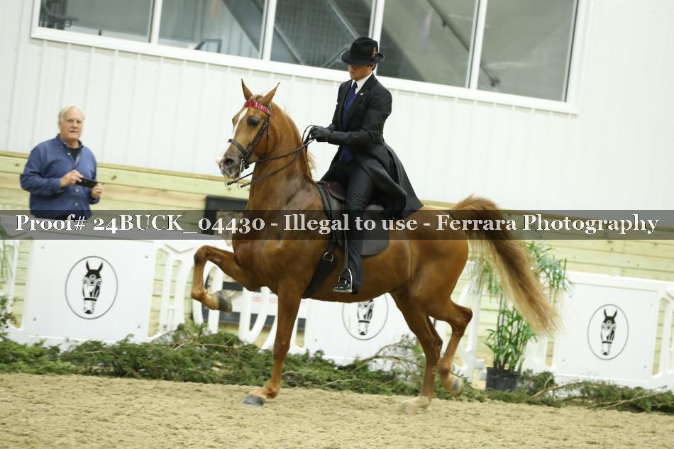 Proof 24BUCK_04430