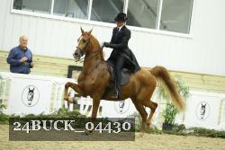 24BUCK_04430 proof