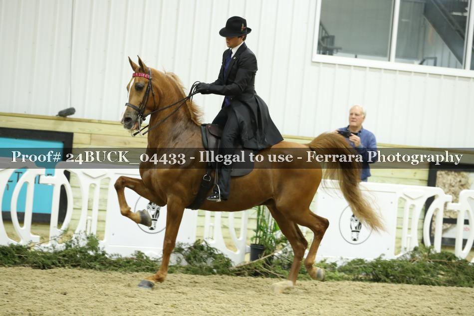 Proof 24BUCK_04433