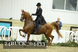 24BUCK_04433 proof