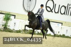 24BUCK_04435 proof