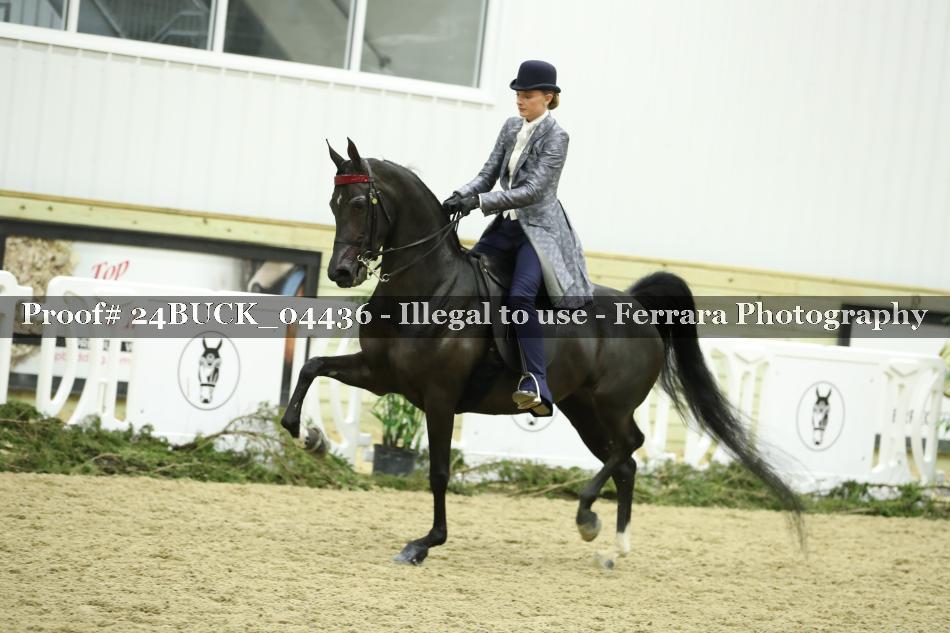 Proof 24BUCK_04436