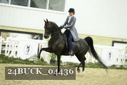 24BUCK_04436 proof