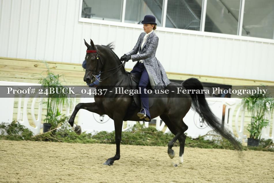 Proof 24BUCK_04437