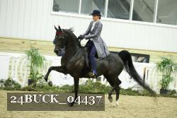24BUCK_04437 proof