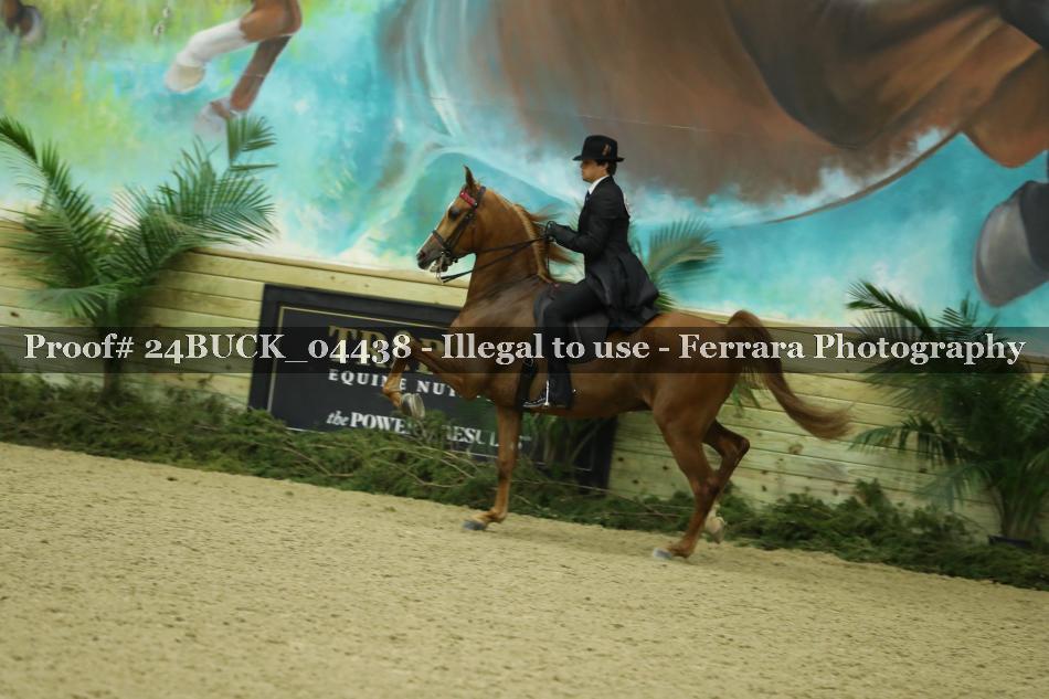 Proof 24BUCK_04438