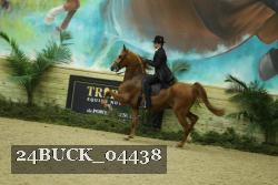 24BUCK_04438 proof