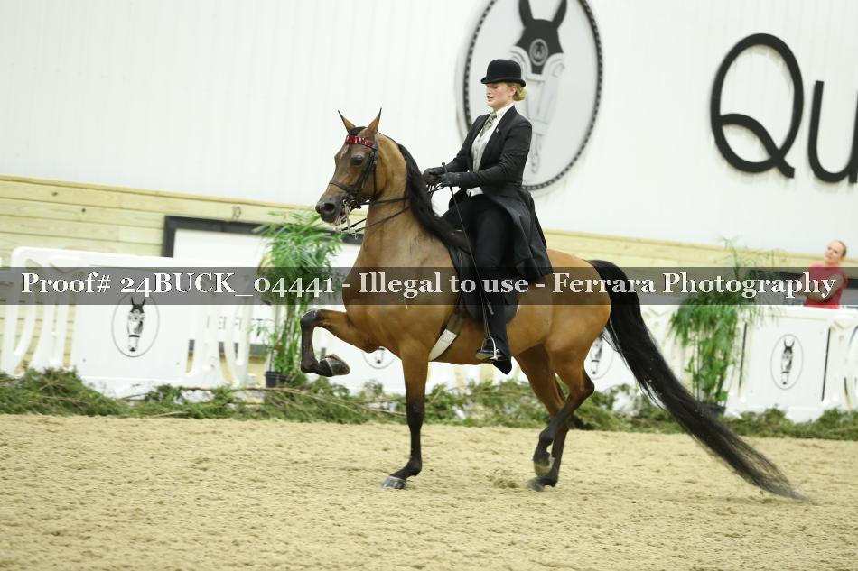 Proof 24BUCK_04441