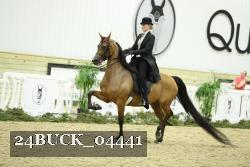 24BUCK_04441 proof