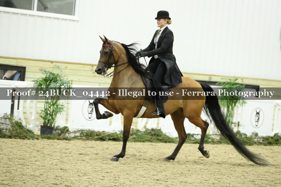 Proof 24BUCK_04442