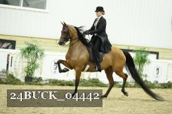24BUCK_04442 proof