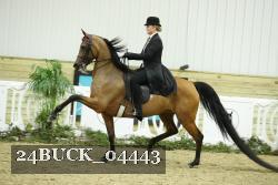 24BUCK_04443 proof