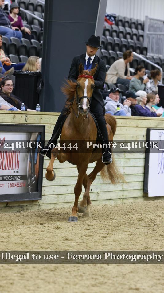 Proof 24BUCK_04444