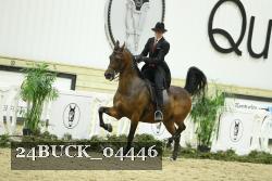 24BUCK_04446 proof