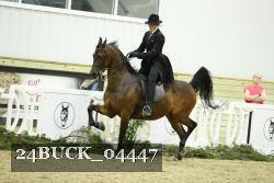 24BUCK_04447 proof