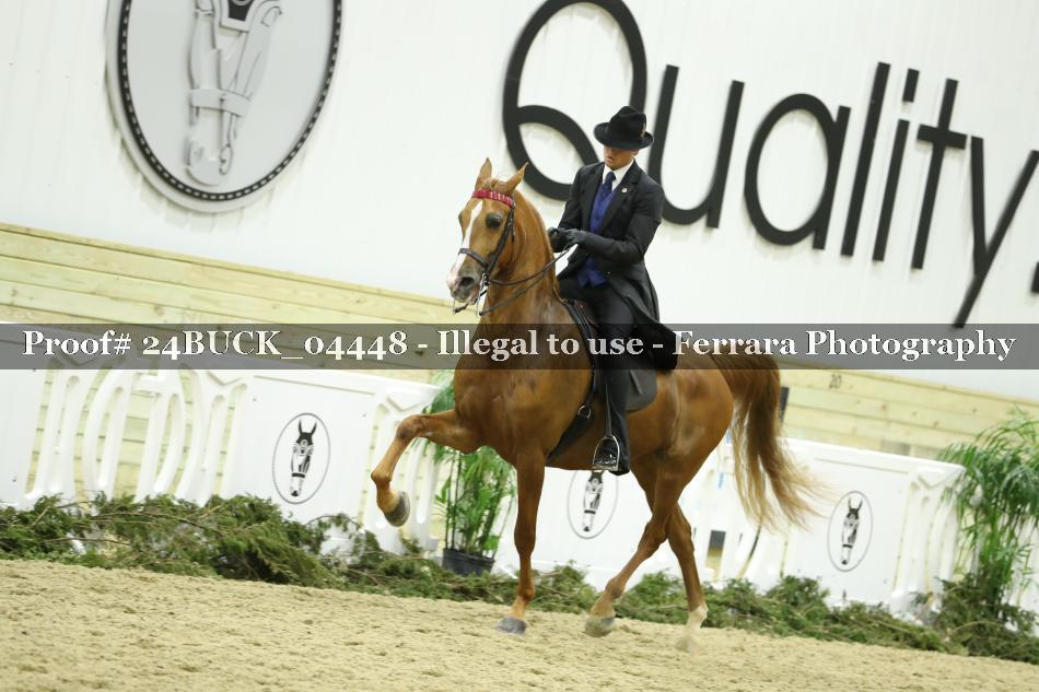 Proof 24BUCK_04448