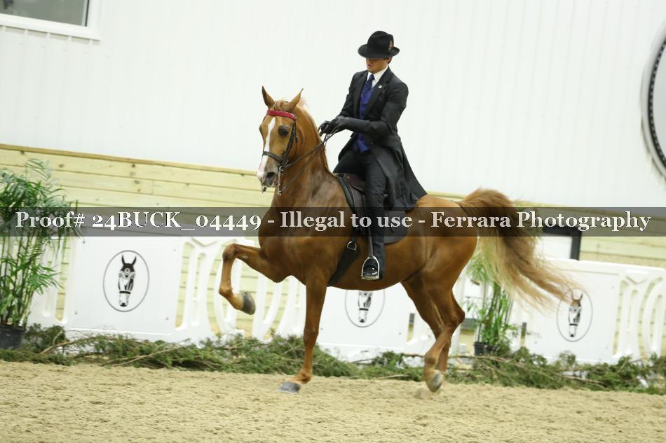 Proof 24BUCK_04449