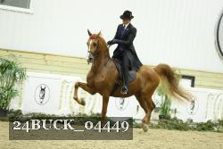 24BUCK_04449 proof