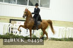 24BUCK_04450 proof