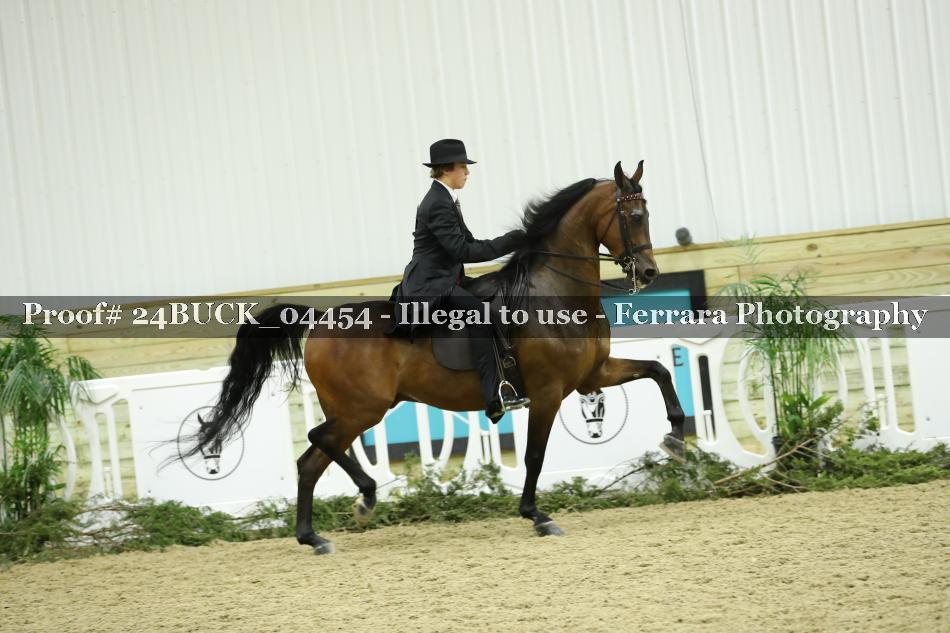 Proof 24BUCK_04454