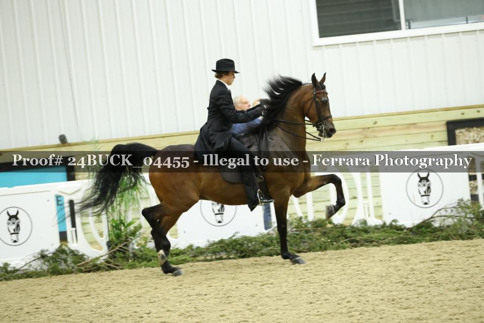 Proof 24BUCK_04455