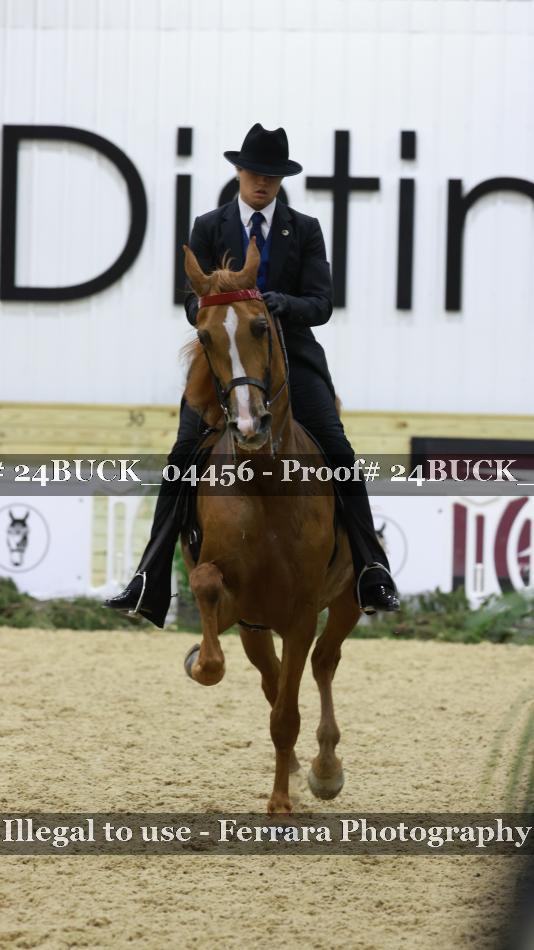 Proof 24BUCK_04456