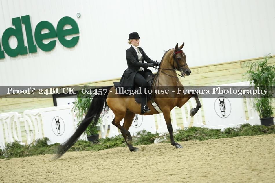 Proof 24BUCK_04457