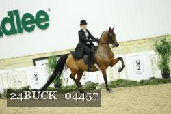 24BUCK_04457 proof