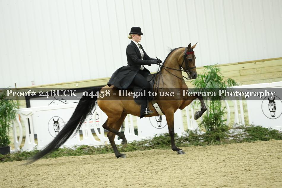 Proof 24BUCK_04458