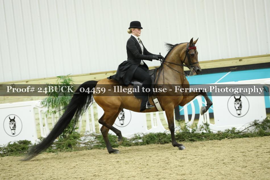 Proof 24BUCK_04459