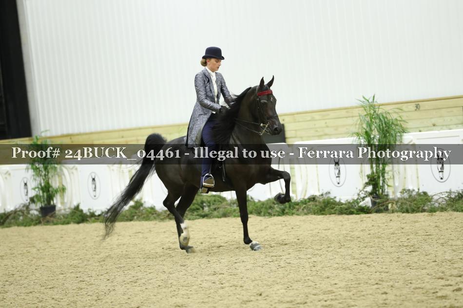 Proof 24BUCK_04461