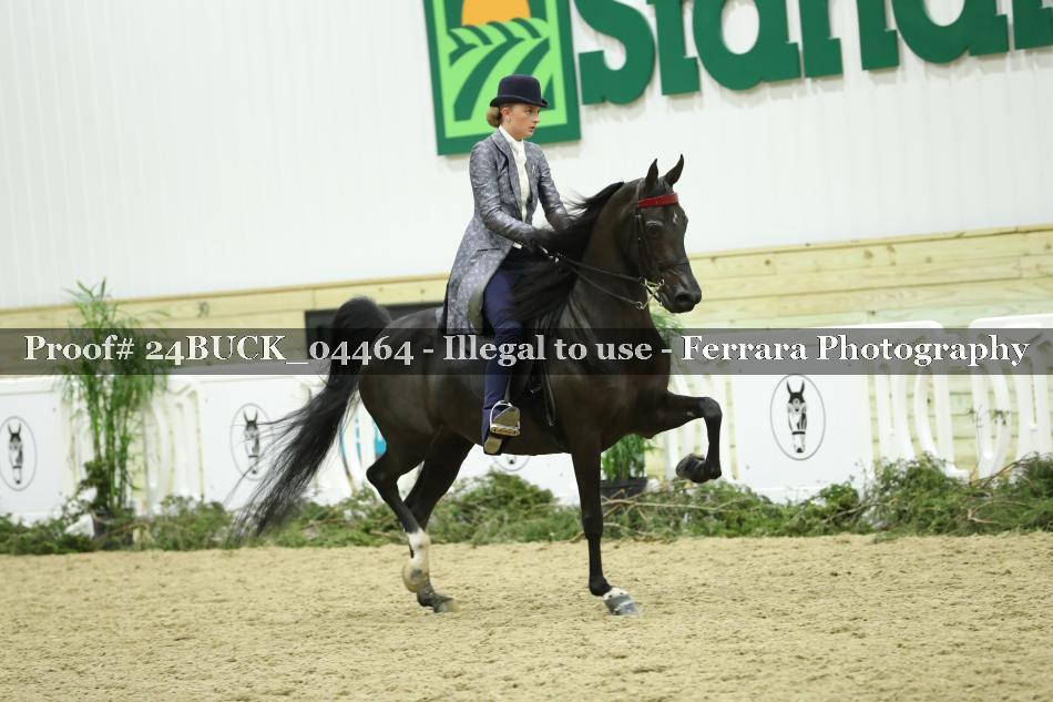 Proof 24BUCK_04464