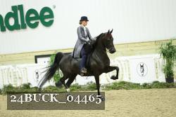 24BUCK_04465 proof