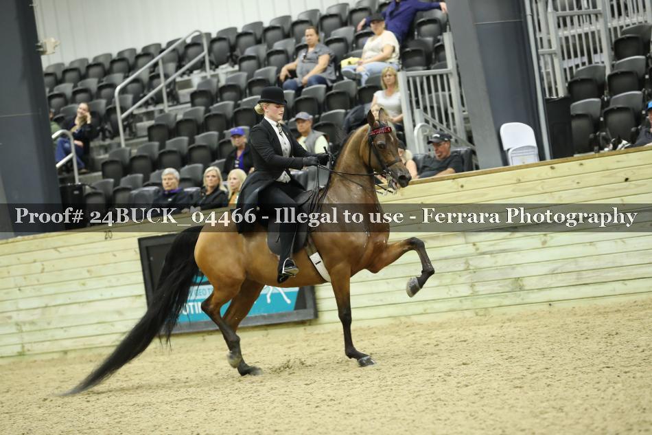 Proof 24BUCK_04466