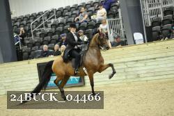 24BUCK_04466 proof