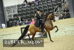 24BUCK_04467 proof