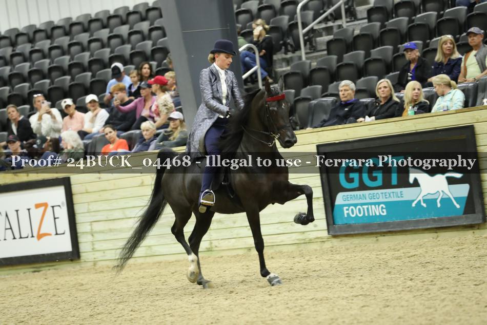 Proof 24BUCK_04468