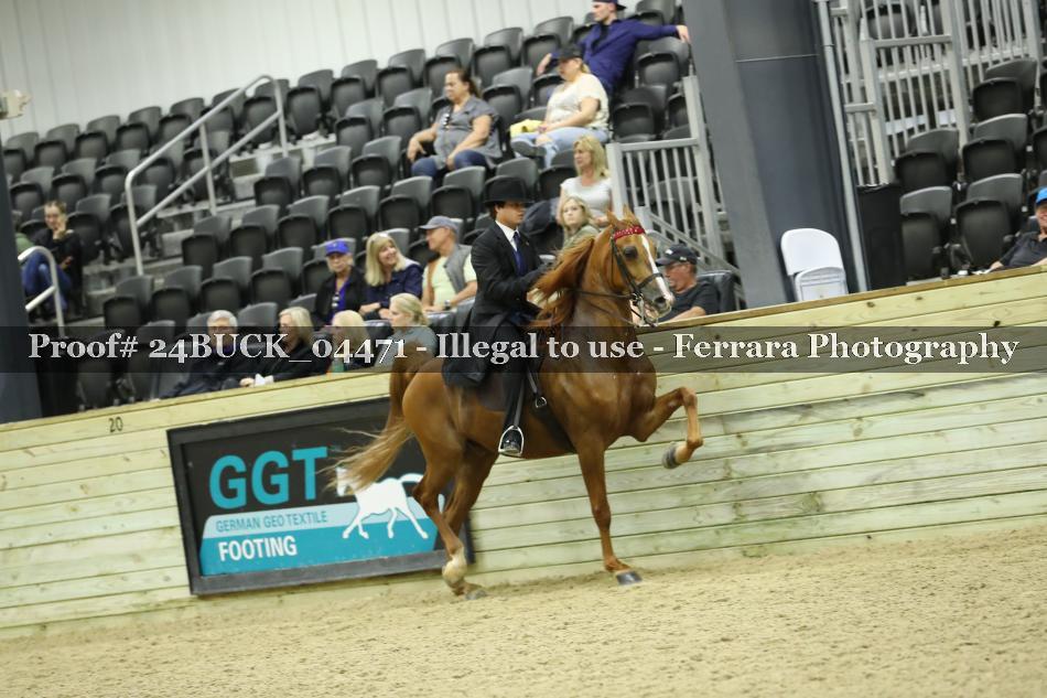 Proof 24BUCK_04471