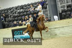 24BUCK_04471 proof